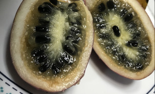 C86997a419bd4bee9ce31e1dc0211bce