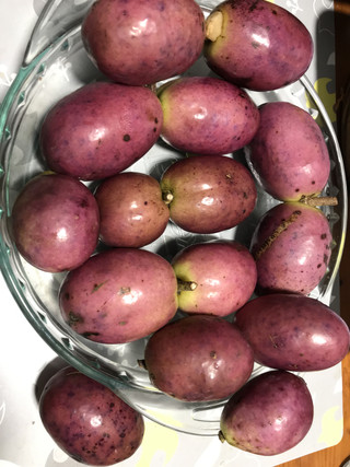 Cecf067ff76b4c23b67f504ced850a55