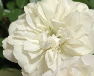 C33086e5e1fc432fb2422feb67f487e2