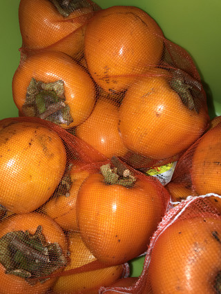 1c5612c0f0544273bc212fac4c6f57a6