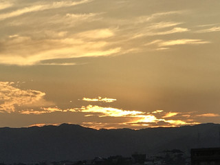 4f33b88a877b4023b7c4a98885b0bee1