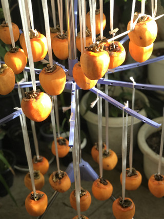 9139bcbd2aca4cf7a46a01a2998bff0a