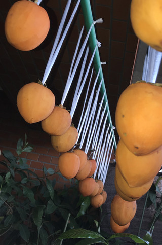 Fc4abd851e2a44099be3e69b7449c805