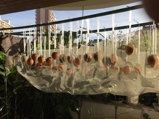 3da21c19807347e0b6c90f08964a85ca