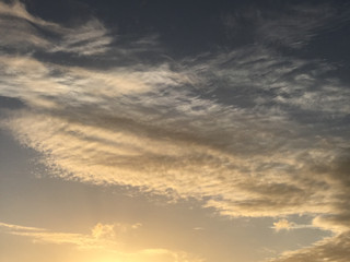 4d38d98903324eaa872c2fd422692648