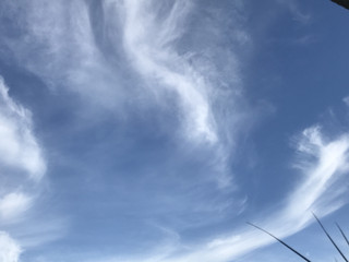 4dad0b135bc644f1a9d3a64fd77175dd