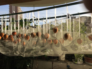 6837afa6b21f4f0b93f5358f5e3842f8