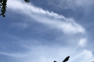 7240434d2f1f44c880947edf4d5f3440