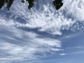 87bb644b3c924cd8bc39b6a01f589350