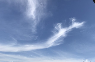 Ca82c79770024a9b821282f09c979390