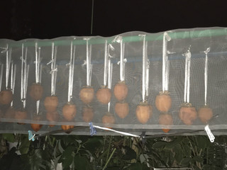 3eb5ccd198bd4c7da64e3b3bc956ec0d