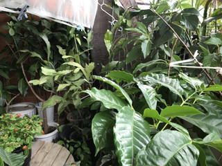 5c67f8c6391244cc807d3238c379ae61