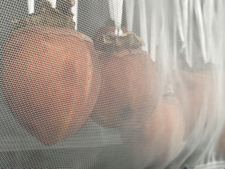 68e9db2cdb8d4c4c8ef5877e5cb987a6