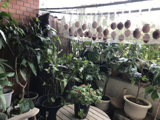 8df8f9afbf184589a9934f2466765a9a