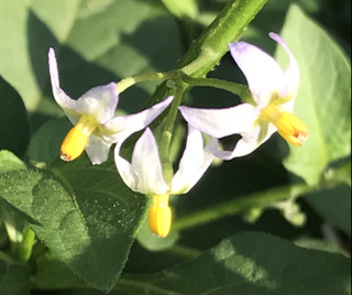 4c02ac748e6646bbbf1313d2cf639634