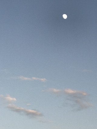 3ff8a45ce8e44ab19fc2eed5bb6ea6f7