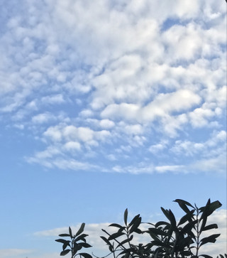 62de29a508f0477e9efa2c0d1f76be5c