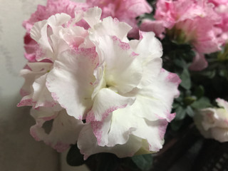 634730290d95400aae49a930cde1db13