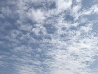 81c51bceef9446688bd93df07bc93e9e