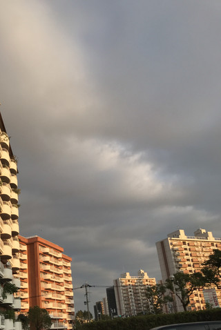 C39698126d614e52b7804f88334d32cd