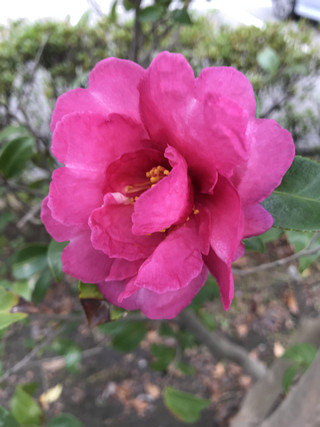 Dc41d8ed895a47359a002273af514691