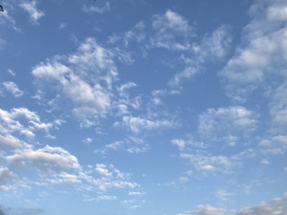 005fd59206fb464a84fa13d87356525a