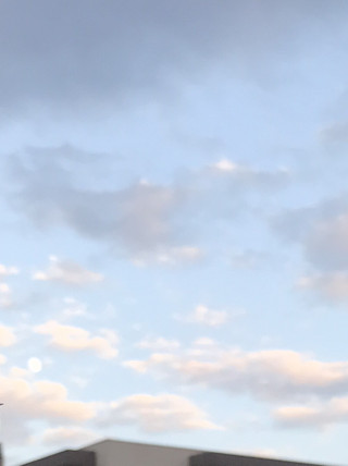 8d55c553357b4f97a56a22b010a70a36