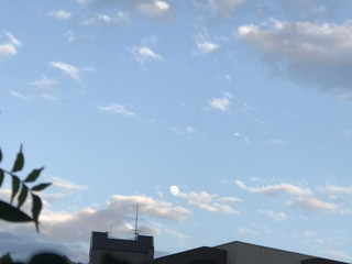 990b3192dc504fba99944425dde9af8c