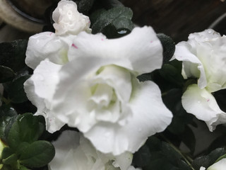 B2bc9d05cb2543c9bd551e4a75d12128