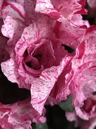 E28ca94c485245f5b9753c1ef5ba2dde