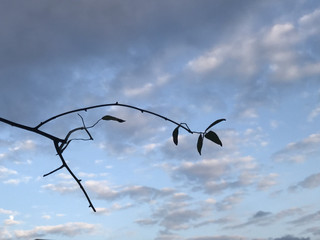 F8afbd8a893540f49a19ee1e62a63227