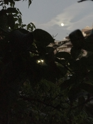 33e4b5e4906b47af8297b7305cc96cda