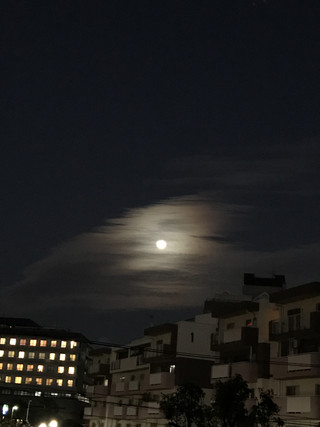 3bb30dca37d84aea8ac07ed79e75e068