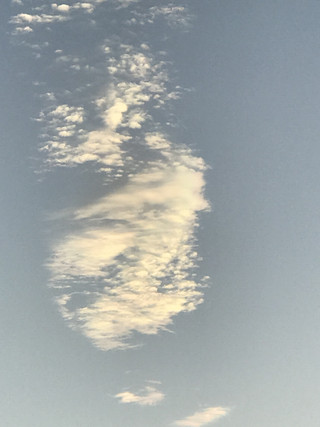 91e98c7bdf3a4b509ac3b8fcecb5dd61