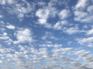 174b02b676b84beabfa1bbeda1414101