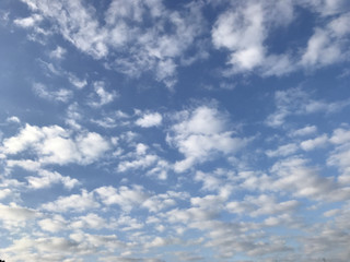 334ff47c94e3484798c6e2c7313ff487