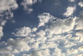 C80a486cc6c043e4bf251a2c6aeaaa0e