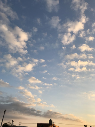 B0423aaef7074ecf9b84464aa269c79a