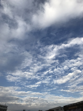 1bcc6a7c0c6642b38c319930b5cafbf0