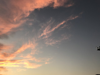 366b52062d4b435fa18da4d408588a50