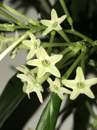 14d0a299b001433c800b70ad5aa7773f