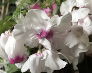 658f13d748254f4a9ea89d551c27bc9b