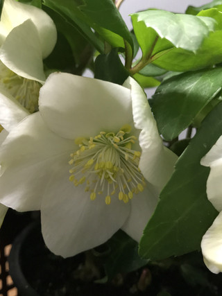 59861b98adff497f98e1cc37a7148117