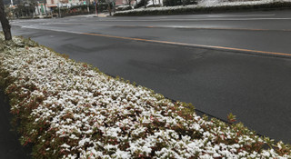 0b135bd1f6374e36944022bf248a2a29