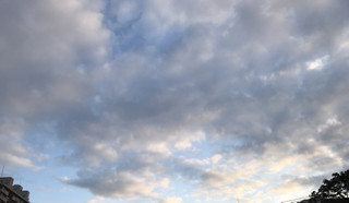 82fb115c774c4d9f870f9443e74e0e44