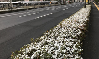 F0dc88f5d8b348a6962a6673800bc7d4