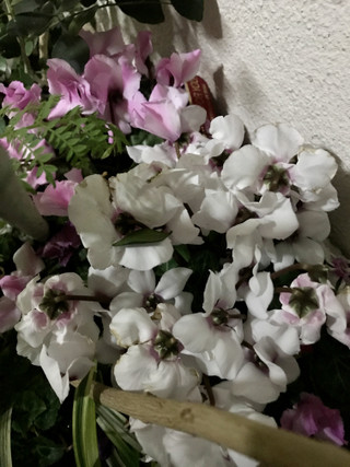 A76d4d5d6774407d9d2f207d2ada01be