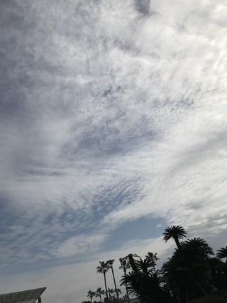 A96a24d430bc43ce9034e0c85b2df205