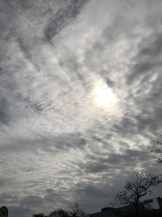 C61fa10d62914451921b1a18f94745dd