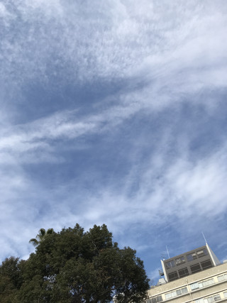 E54c1bf78e214409a141d47b3ed7b9d3